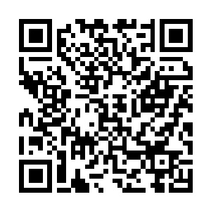Link naar je actie QRCode - Fondswerving