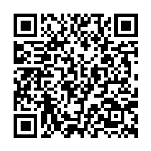 Link naar je actie QRCode - Fondswerving