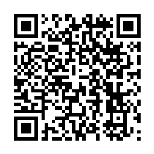 Link naar je actie QRCode - Fondswerving