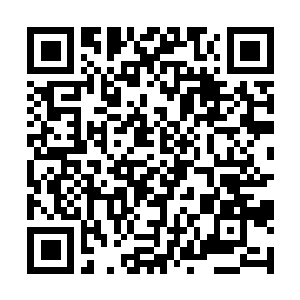 Link naar je actie QRCode - Fondswerving