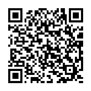 Link naar je actie QRCode - Fondswerving