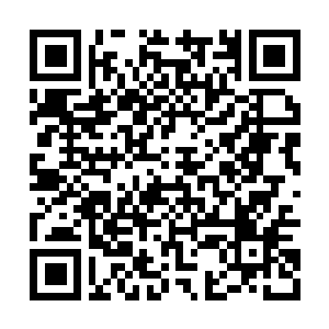 Link naar je actie QRCode - Fondswerving