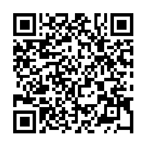 Link naar je actie QRCode - Fondswerving