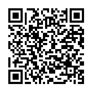 Link naar je actie QRCode - Fondswerving