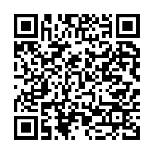 Link naar je actie QRCode - Fondswerving