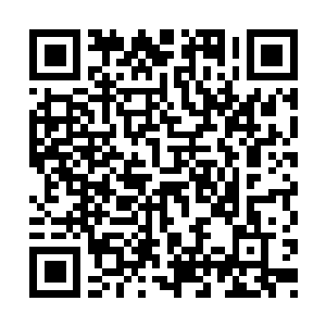 Link naar je actie QRCode - Fondswerving