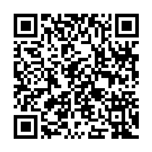 Link naar je actie QRCode - Fondswerving