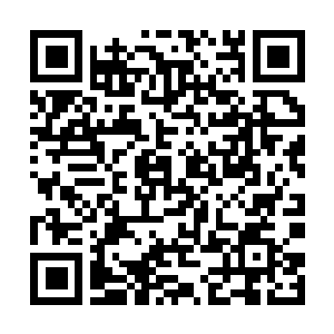 Link naar je actie QRCode - Fondswerving