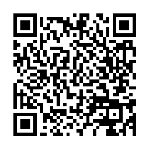 Link naar je actie QRCode - Fondswerving