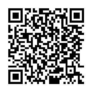 Link naar je actie QRCode - Fondswerving
