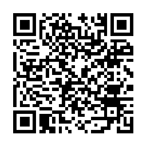 Link naar je actie QRCode - Fondswerving