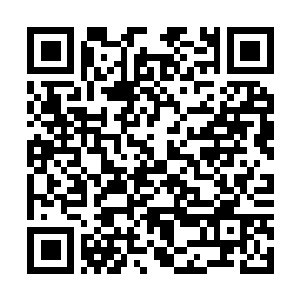 Link naar je actie QRCode - Fondswerving