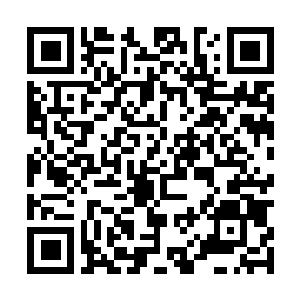 Link naar je actie QRCode - Fondswerving