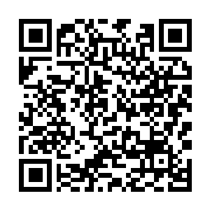 Link naar je actie QRCode - Fondswerving