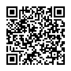 Link naar je actie QRCode - Fondswerving