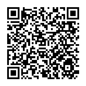 Link naar je actie QRCode - Fondswerving