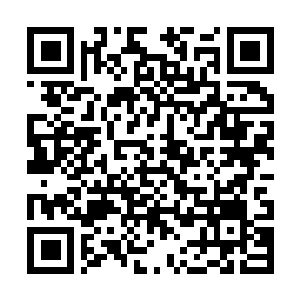 Link naar je actie QRCode - Fondswerving