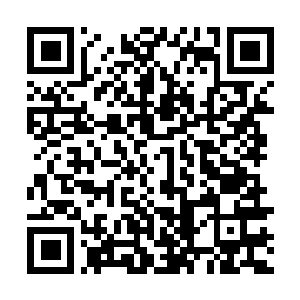 Link naar je actie QRCode - Fondswerving