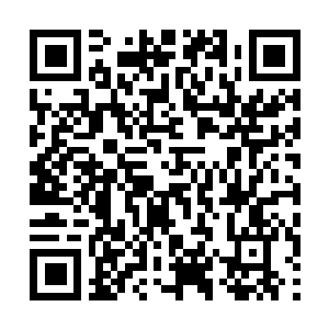 Link naar je actie QRCode - Fondswerving