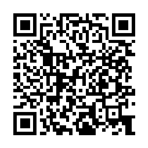 Link naar je actie QRCode - Fondswerving