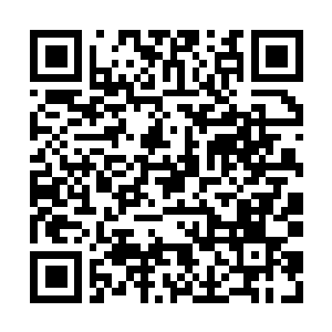 Link naar je actie QRCode - Fondswerving
