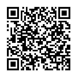 Link naar je actie QRCode - Fondswerving