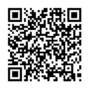Link naar je actie QRCode - Fondswerving