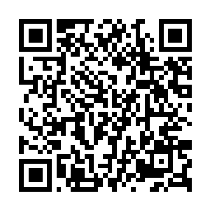 Link naar je actie QRCode - Fondswerving