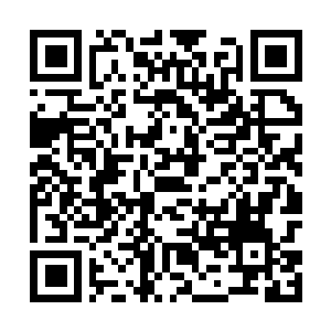 Link naar je actie QRCode - Fondswerving