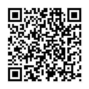 Link naar je actie QRCode - Fondswerving