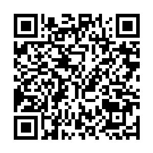 Link naar je actie QRCode - Fondswerving