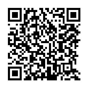 Link naar je actie QRCode - Fondswerving