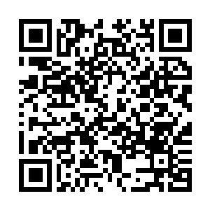 Link naar je actie QRCode - Fondswerving
