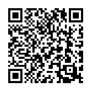 Link naar je actie QRCode - Fondswerving