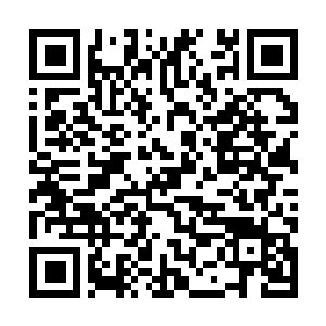 Link naar je actie QRCode - Fondswerving