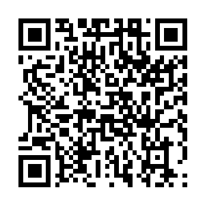 Link naar je actie QRCode - Fondswerving