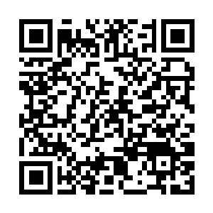 Link naar je actie QRCode - Fondswerving