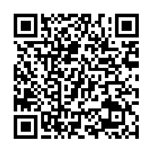 Link naar je actie QRCode - Fondswerving