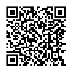 Link naar je actie QRCode - Fondswerving