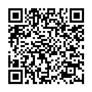 Link naar je actie QRCode - Fondswerving
