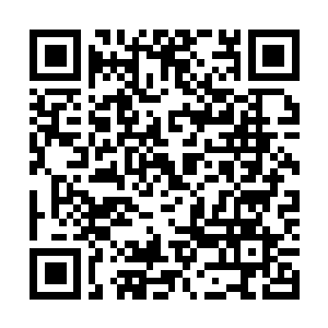 Link naar je actie QRCode - Fondswerving