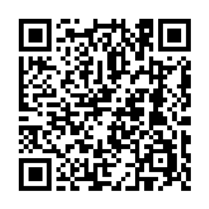 Link naar je actie QRCode - Fondswerving
