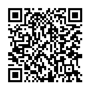 Link naar je actie QRCode - Fondswerving
