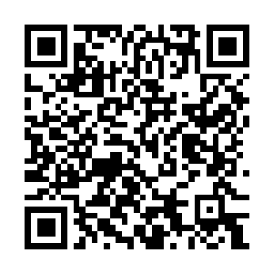 Link naar je actie QRCode - Fondswerving