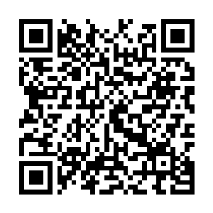 Link naar je actie QRCode - Fondswerving