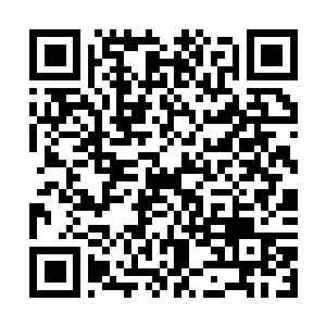 Link naar je actie QRCode - Fondswerving