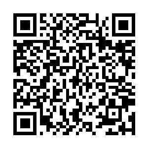 Link naar je actie QRCode - Fondswerving