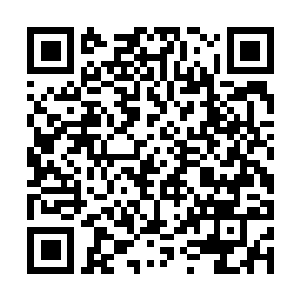 Link naar je actie QRCode - Fondswerving