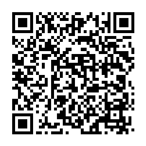 Link naar je actie QRCode - Fondswerving