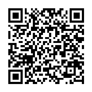 Link naar je actie QRCode - Fondswerving